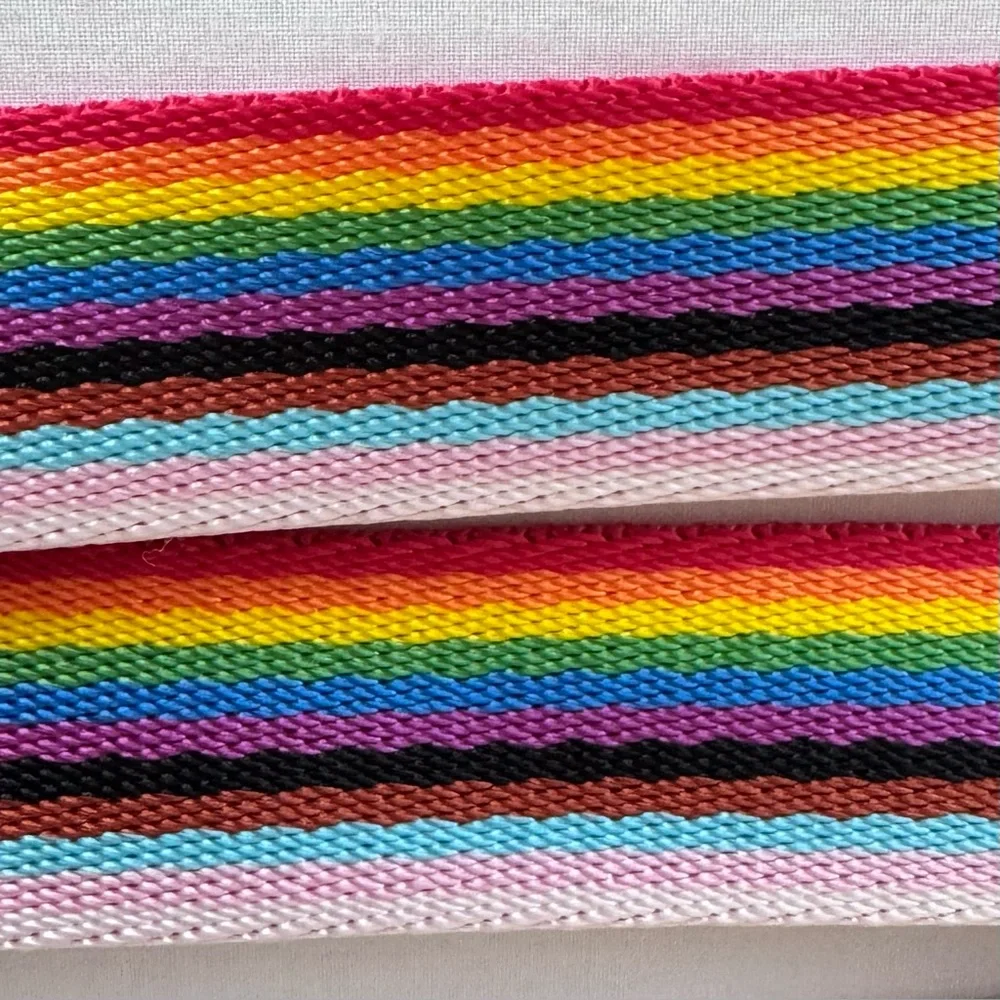 NWT Pet Leash, Rainbow, Pride, 5’